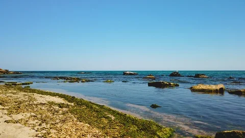 Walking on the beautiful desolate beach Stock Footage 117819925