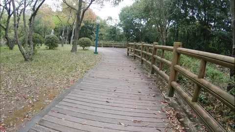 Walking a beautiful path at the spring park. Motion shot.  Stock Footage 108423345
