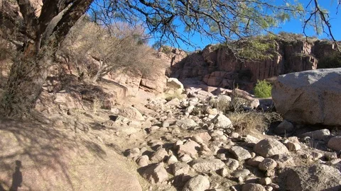 Walking below trees throught rocky dry river towards orange cliff. Hualco Canyon 库存影片 107116851