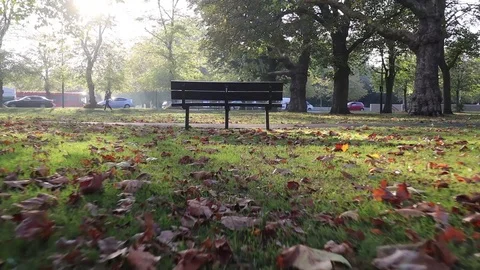 Walking to a bench in Wandsworth Stock Footage 96504020