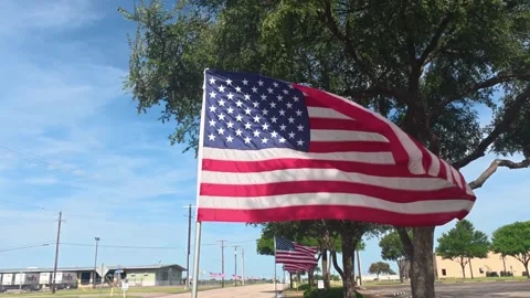 Walking Beneath Multiple American Flags Along Roadside in Wichita Falls 4K Stock Footage 336923665