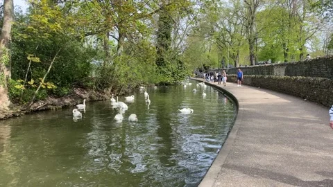 Walking beside The River Thames at Windsor Stock Footage 182166740