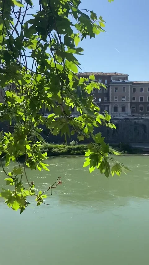 Walking beside the Tiber river Stock Footage 280932929