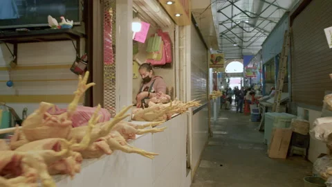 Walking between dead chickens in a Mexican market. Oaxaca City, Mexico Stock Footage 230099188