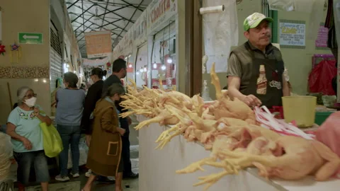 Walking between dead chickens in a Mexican market. Oaxaca City, Mexico Stock Footage 230100090