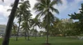 Walking between the palm trees of Miami Beach, Florida 4k or 4k+ Resolution