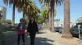 Walking between the palms in San Francisco 4k or 4k+ Resolution