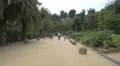 Walking between the trees in Park Guell, Barcelona 4k or 4k+ Resolution