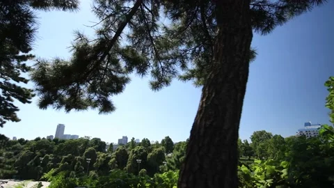 Walking between woods in the city. Tokyo Japan. Stock Footage 220096388