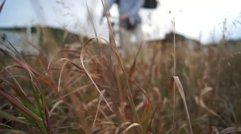 Walking Bike Through Grass 스톡 동영상 48151318