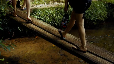 Walking on Board Above Pond Stock Footage 321320963