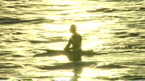 Walking The Board Out Stock Footage 346631