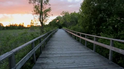 Walking-boardwalk 5 Stock Footage 68000564