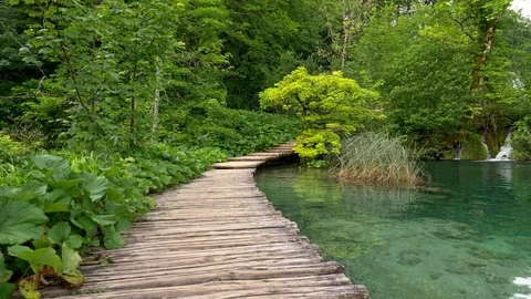 Walking on the boardwalk in the park. Camera moving on wooden boardwalk in Video stock 112070800