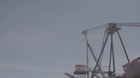 Walking boom stacker FLAT Stock Footage 104904299