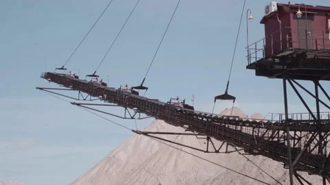 Walking boom stacker Stock Footage 104908822