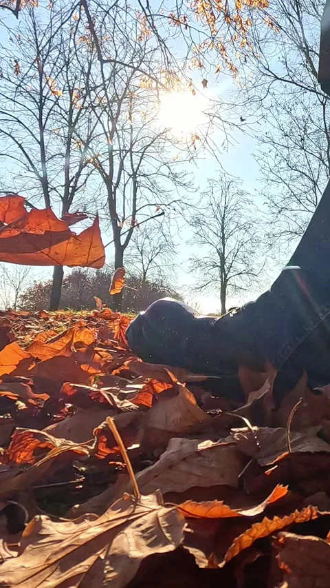 Walking boots moving over dry autumn leaves in sunny forest 動画素材 322171103
