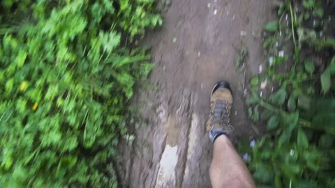 Walking  boots shot through a muddy woodland path Stock Footage 134459813