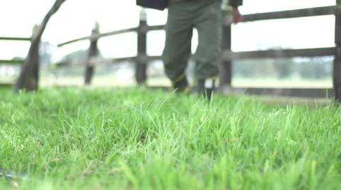 Walking with of boots swamp Stock Footage 65383267