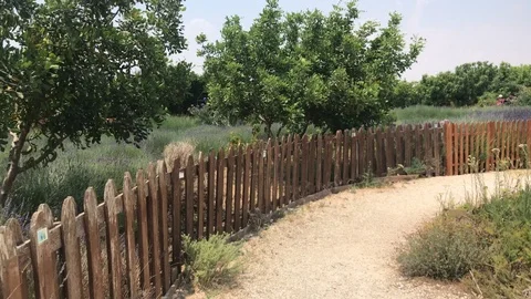 Walking at a Botanical Park Stock-Footage 111004693
