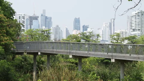Walking bridge in Bangkok park. Stock Footage 306725468