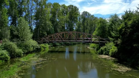 Walking bridge in Bothell with people crossing Stock-Footage 294708576