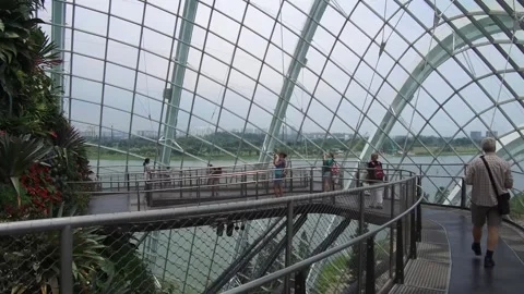 On the walking bridge in Cloudforest, Gardens by the Bay, Singapore, Stock Footage 130706428