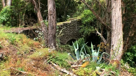 WALKING BY THE BRIDGE Stock Footage 101790389