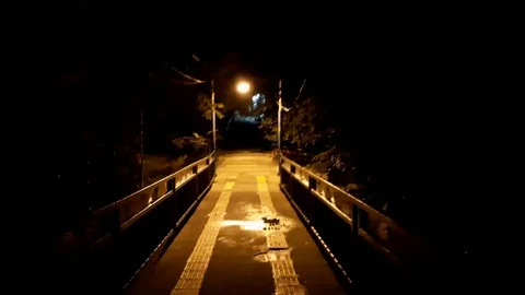 Walking on the bridge Video stock 120150043