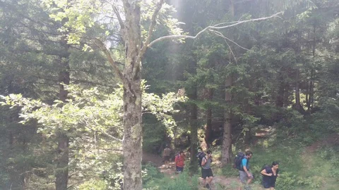 Walking on a bridge in the nature Stock Footage 119018530