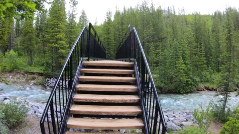 Walking on a bridge over alpine river at Stanley Glacier 스톡 동영상 148887434
