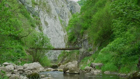 Walking on a bridge over a river Stock Footage 99963301