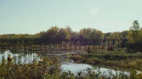 Walking Bridge in Park Stock Footage 232429026