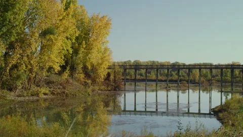 Walking Bridge in Park Stock Footage 232430488