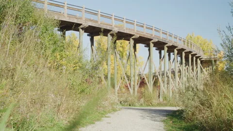 Walking Bridge in Park Stock Footage 232432741