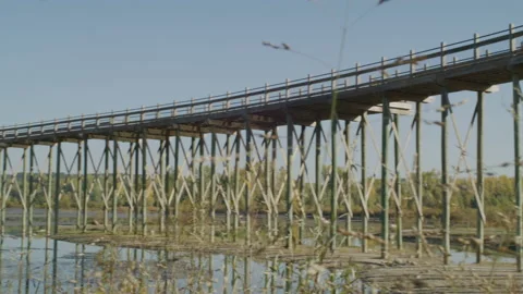 Walking Bridge in Park Stock Footage 232433134