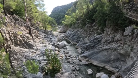 Walking bridge time lapse 스톡 동영상 219856333