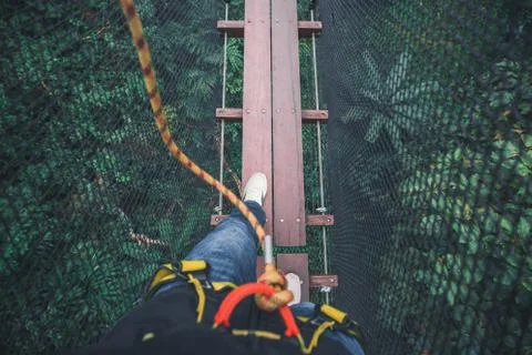 Walking on bridge on top tree Stock Photos