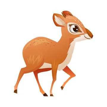 Walking Brown Dik-dik as African Small Antelope with Horns Vector Illustration Stock Illustration