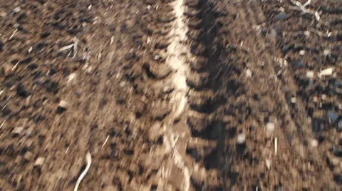 Walking in brown field Stock Footage 22519799