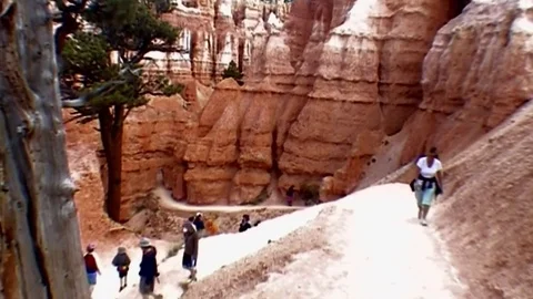 Walking in the Bryce Canyon 3a.   Stock Footage 81577094