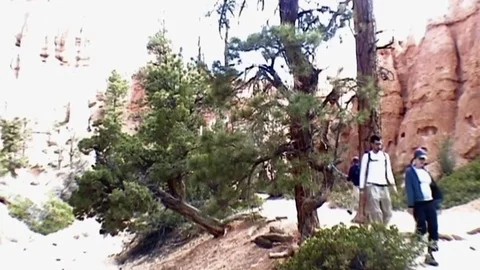 Walking in the Bryce Canyon 4.   Stock Footage 81577114