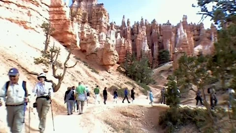 Walking in the Bryce Canyon 5.    Stock Footage 81577098