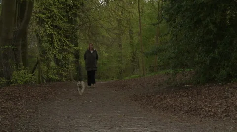 Walking buddy Stock-Footage 37271256