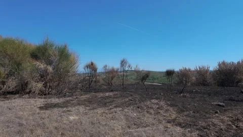 Walking by a burned hill top Stock Footage 347274557