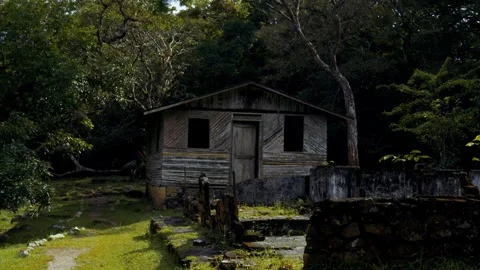 Walking to Cabin with Old House Rubble Stock Footage 321320959