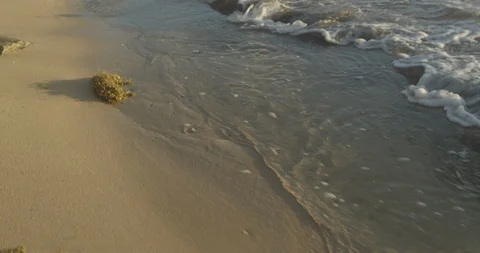 Walking with camera following the surf on a tropical beach Stock Footage 86113921