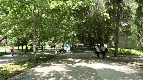 Walking on campus Stock Footage 77050792