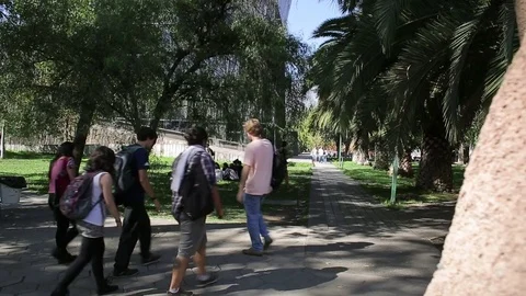 Walking in campus Video stock 77050838