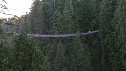 Walking in Capilano Suspension Bridge Stock Footage 121926693